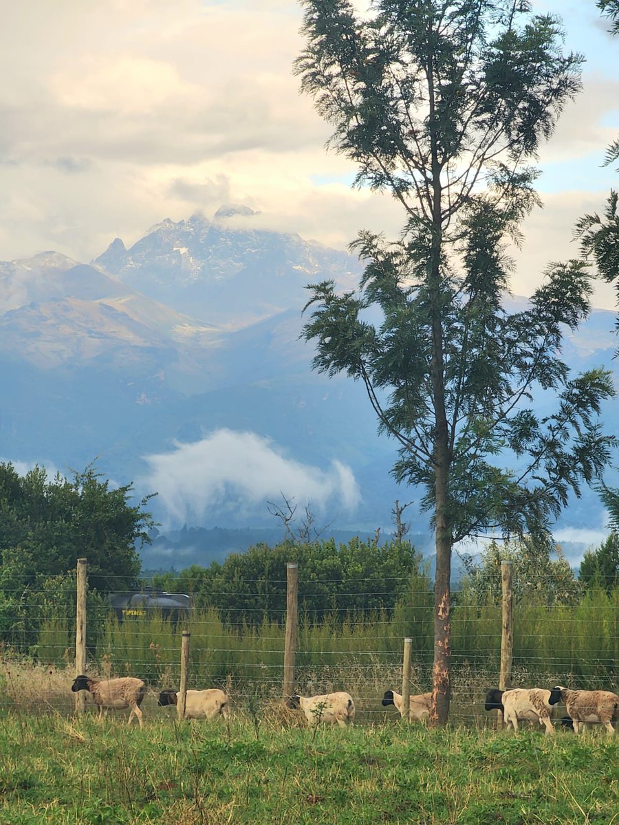 Laikipia Ranches tweet media