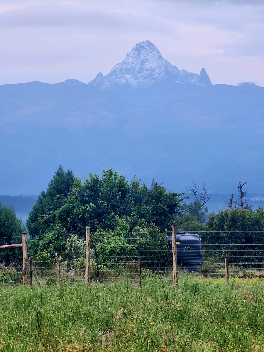 Laikipia Ranches tweet media