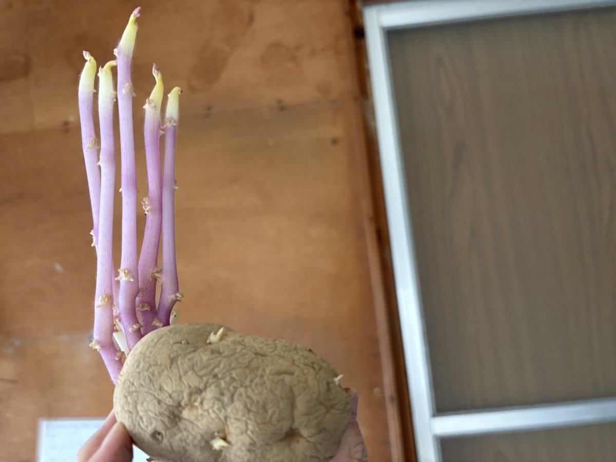 ＊あおゆう＊ tweet media