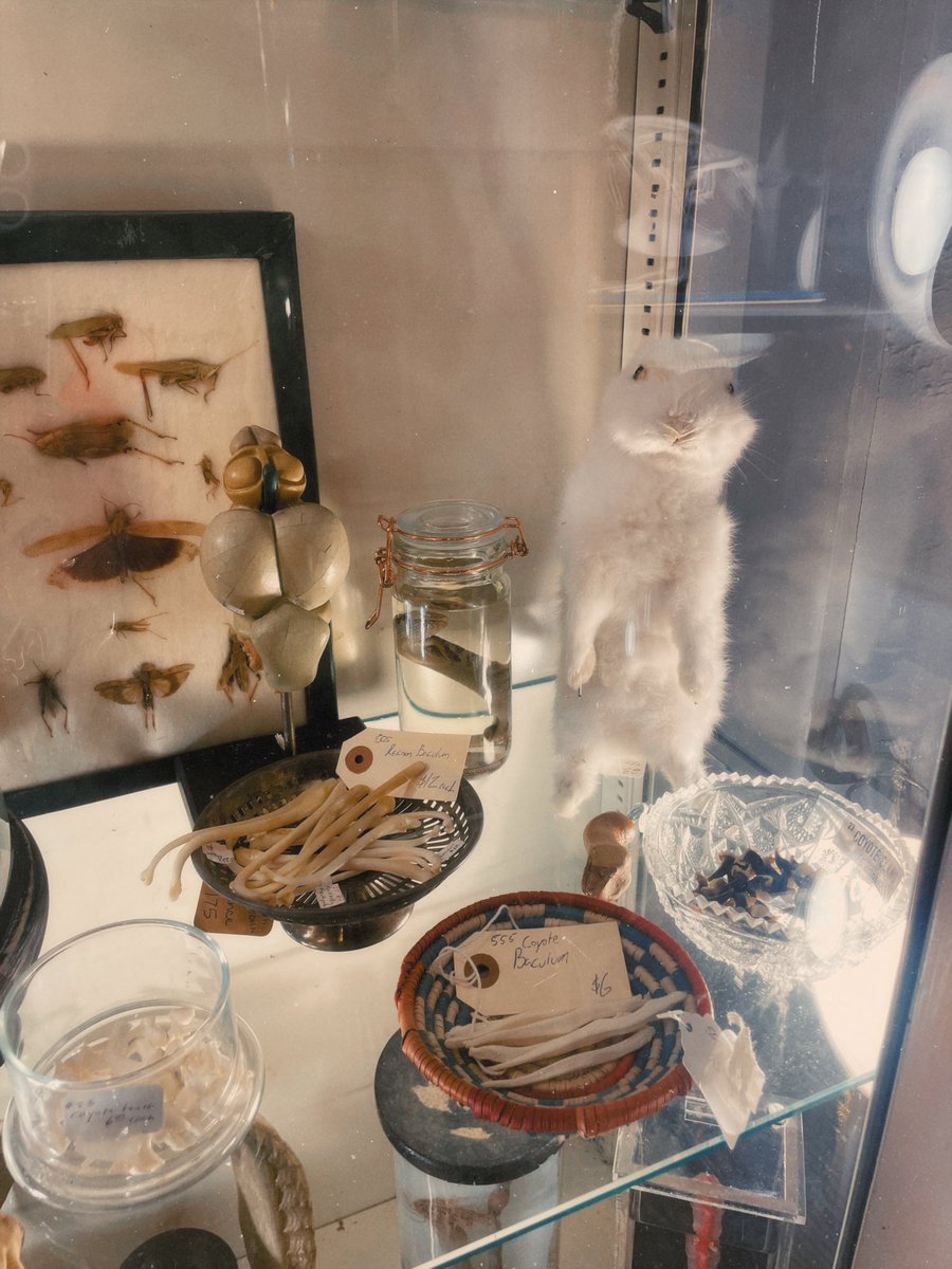 frankie🌱✨ tweet media