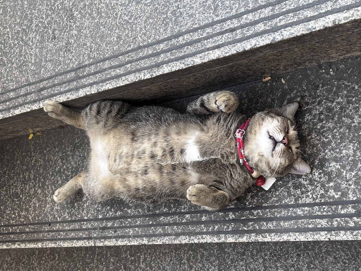 Wake up and smell a coffee tweet media