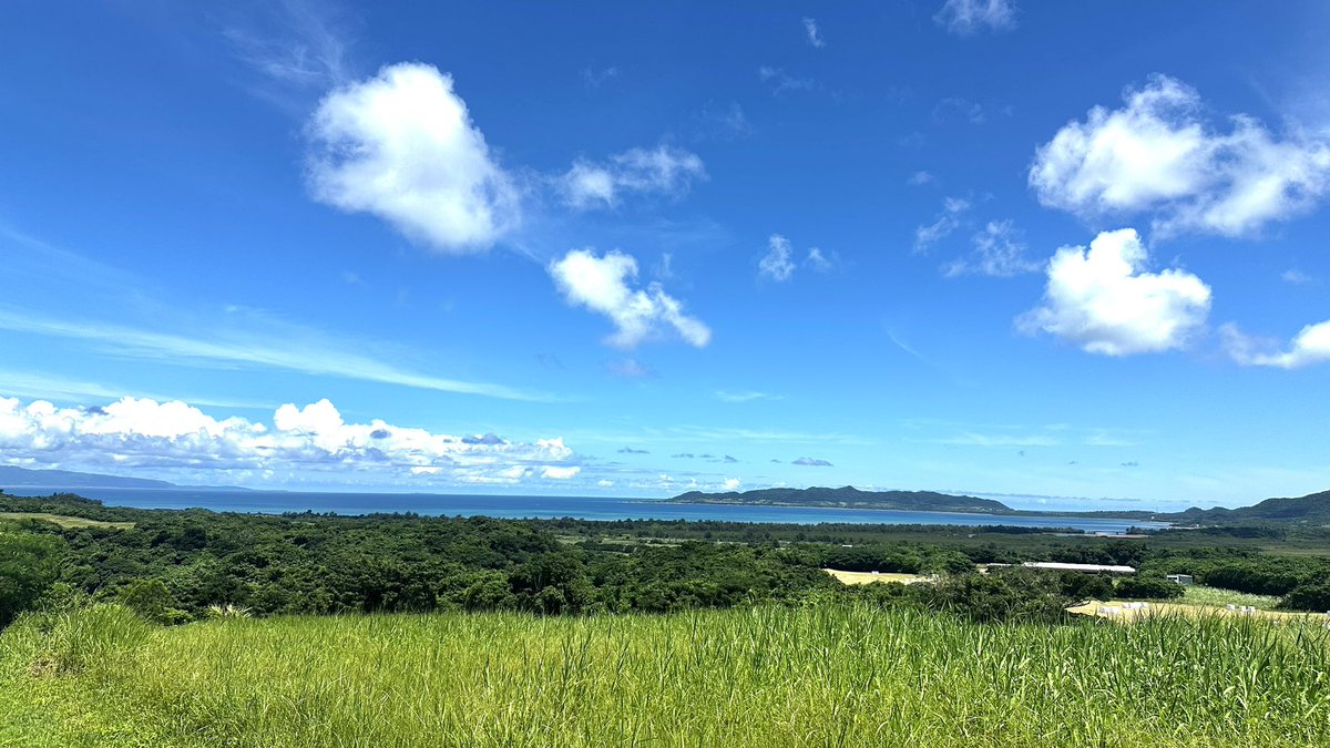 石垣島 カンムリワシの里と森を守る会 tweet media