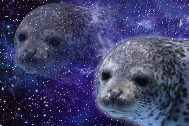 フォトジェニック小野 tweet media