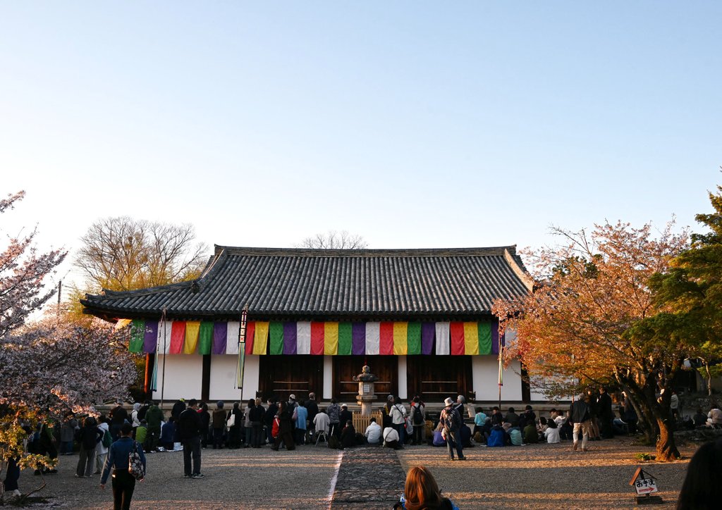 一寸帽子 tweet media