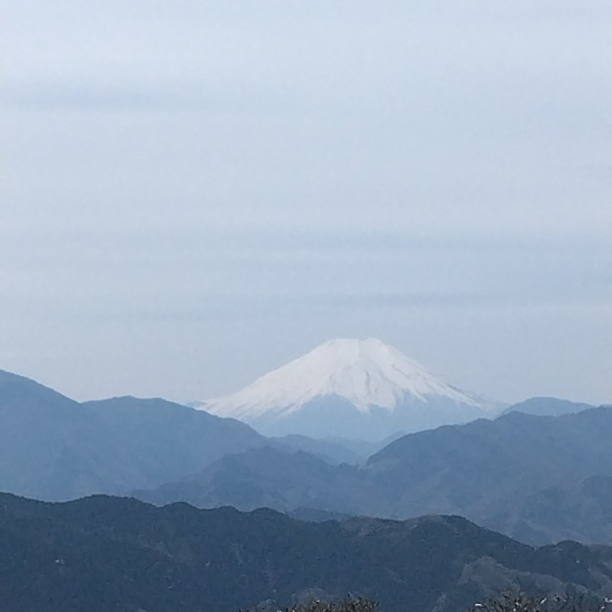 単女Mちゃん！ tweet media