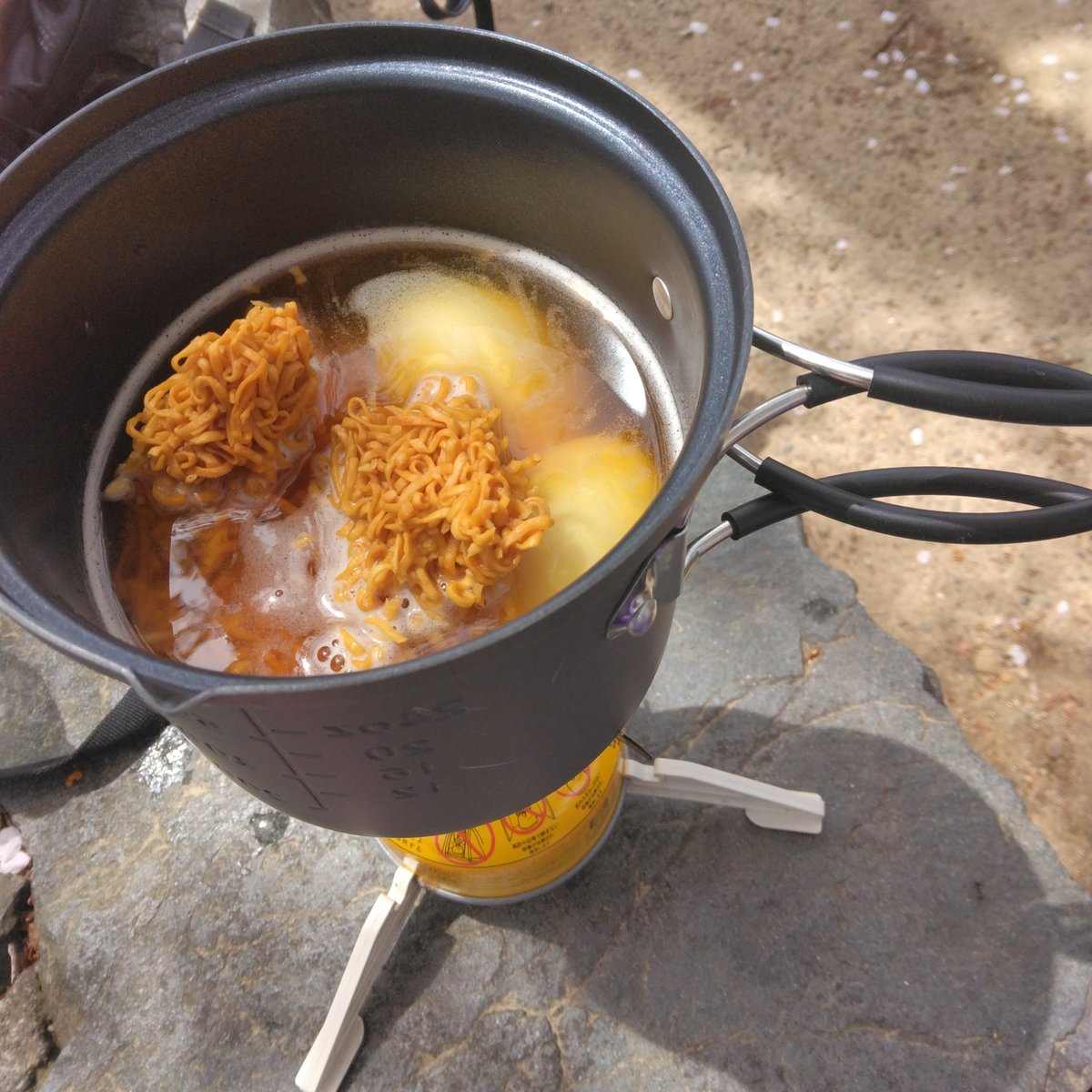 単女Mちゃん！ tweet media