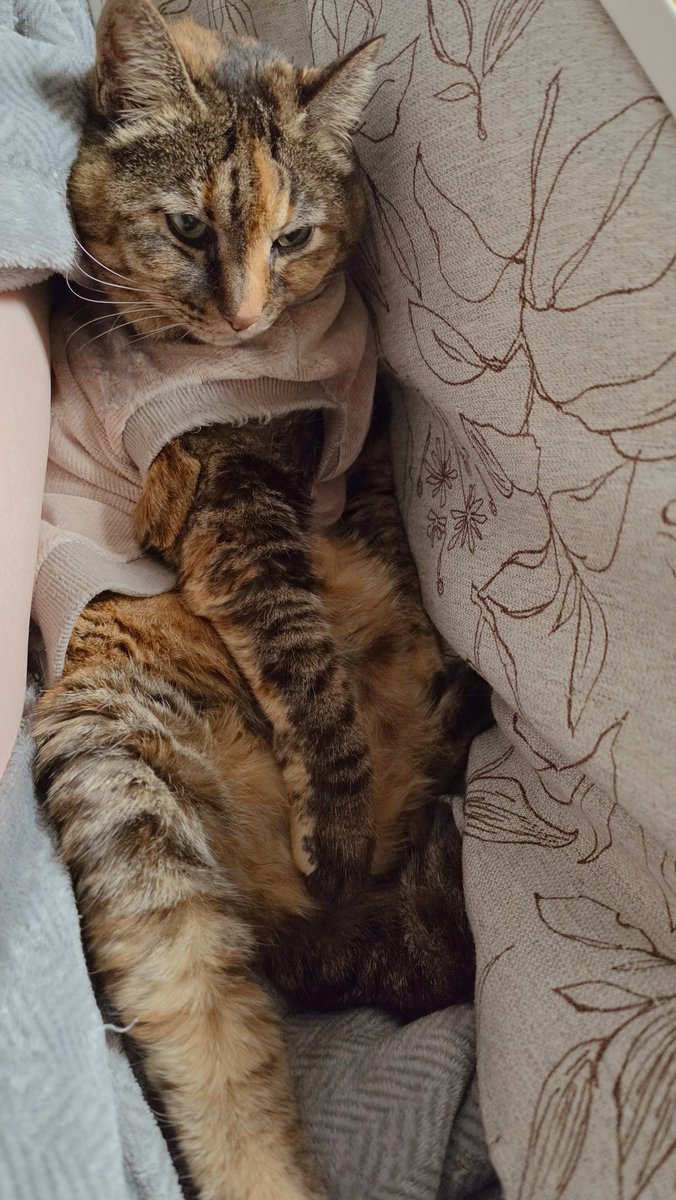 NANA@垢凍●しました tweet media