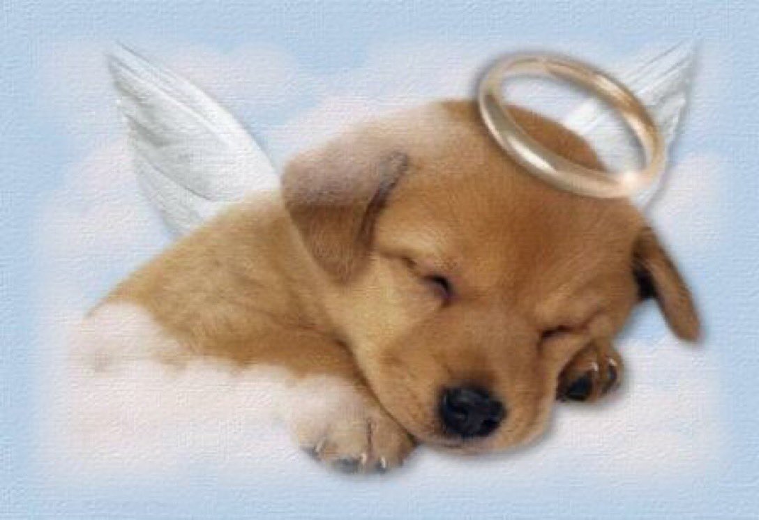 mira💋 tweet media