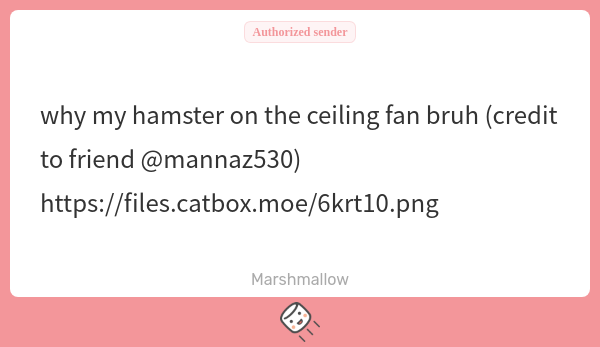 mimsiedayo's tweet photo. LAMFEOSIHJGSDG? ? ?? ?/Ag?D get her DOWN FROM THERE!!!!!! https://t.co/H5HsjFA7eU