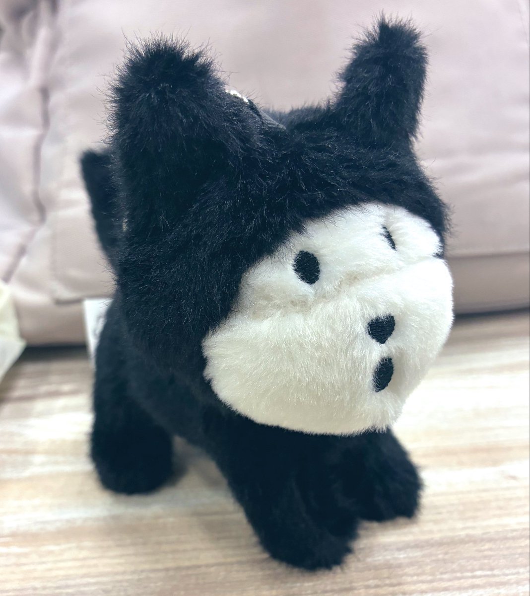 うちに来た子前足がナナメってるからなんとなくアキラのバイクシーン思い出す(謎)