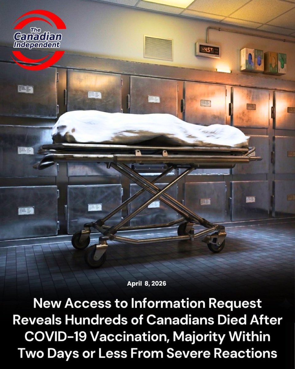 LE COLLECTIF 🅻🅴 🅲🅾🅻🅻🅴🅲🆃🅸🅵 🇫🇷 tweet media