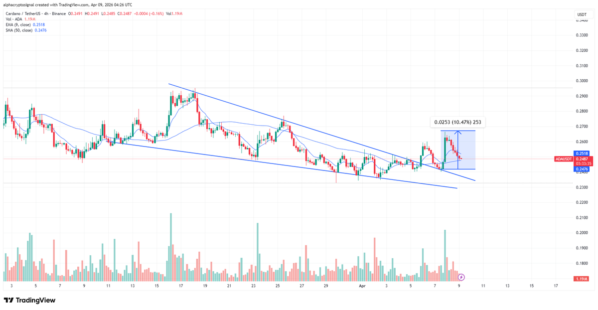 alphacryptosign's tweet image. #ADA Update:

The falling wedge breakout we noted on the 4H played out cleanly. $ADA reclaimed the upper trendline and short-term moving averages, then retested the breakout zone and held it as support.

From that retest, $ADA moved up 10.47% before momentum slowed and