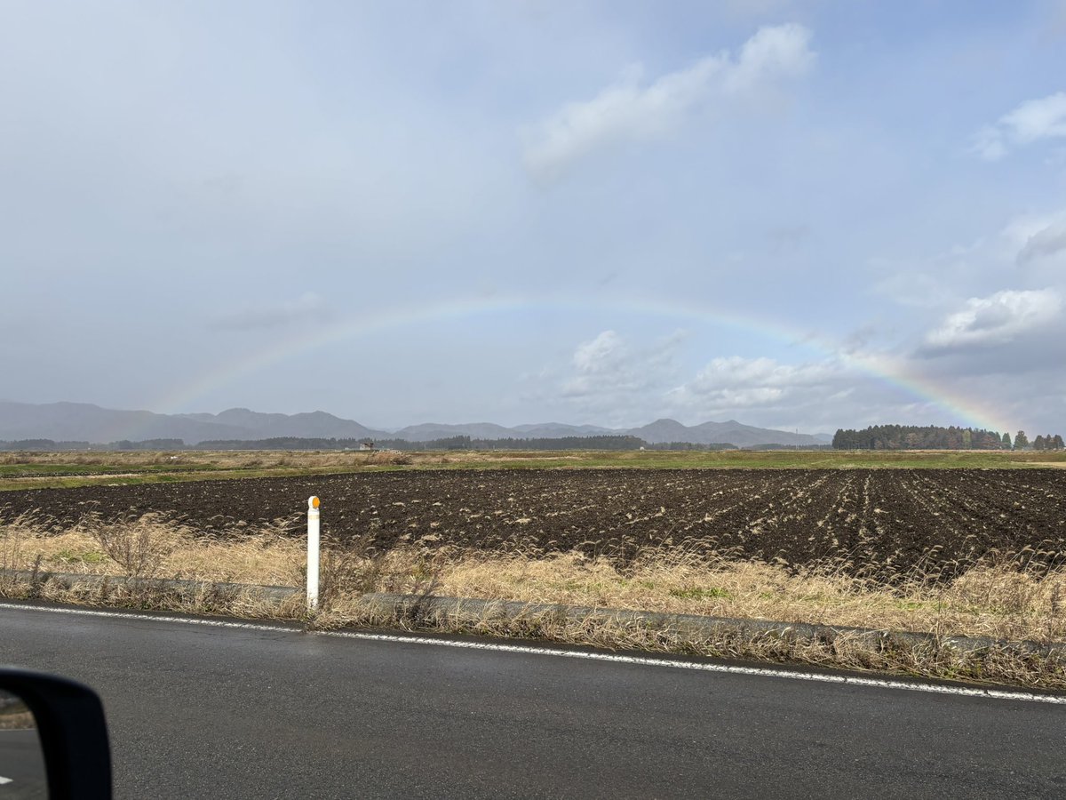 あっぷる@ tweet media