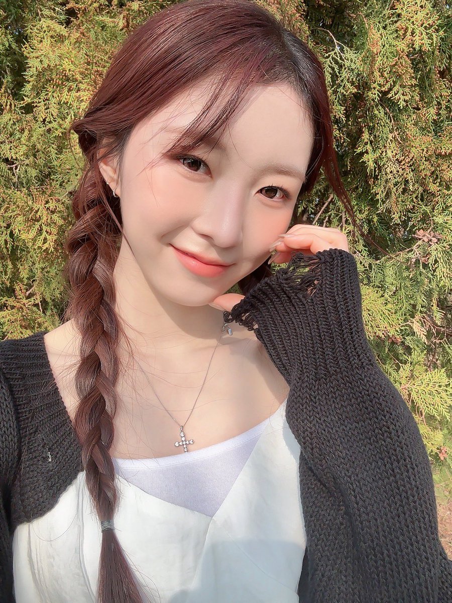 lightsum pics tweet media