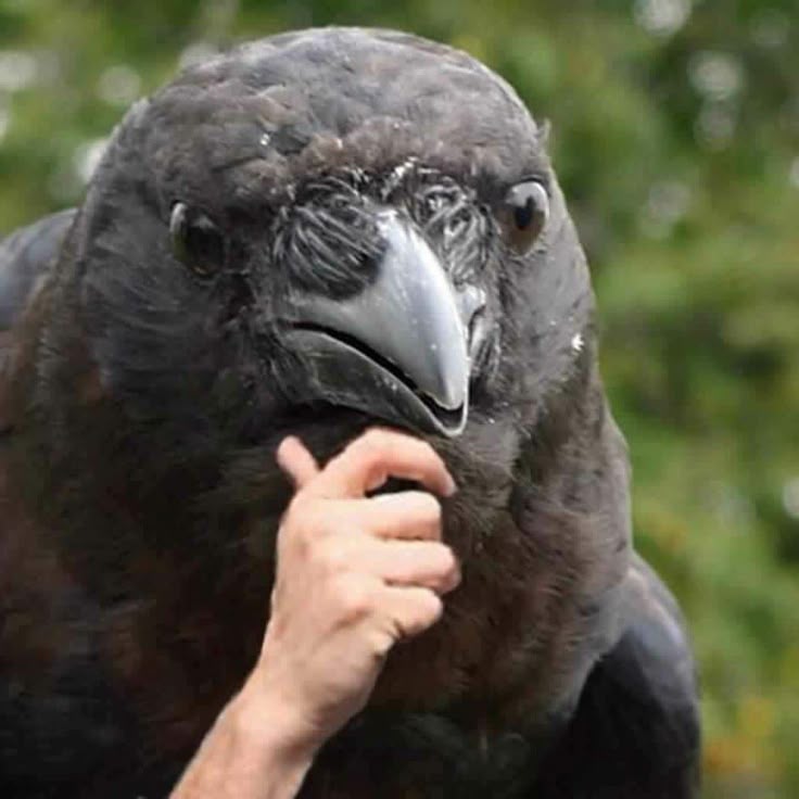 Luc_06 🇧🇷 tweet media