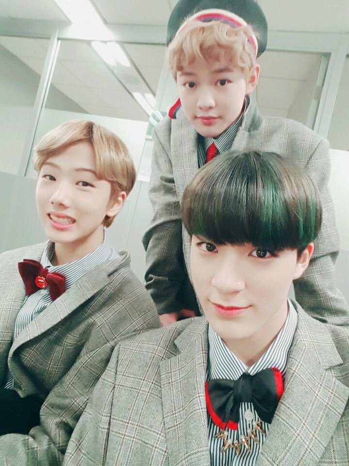 더바띵 tweet media