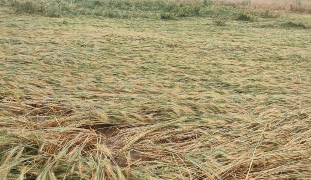 Girish Kumar Pandey tweet media