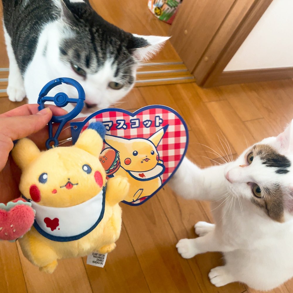 ゆう @綾波レイ完成 tweet media