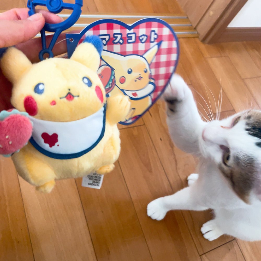 ゆう @綾波レイ完成 tweet media