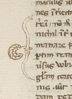 Vatanabeus tweet media