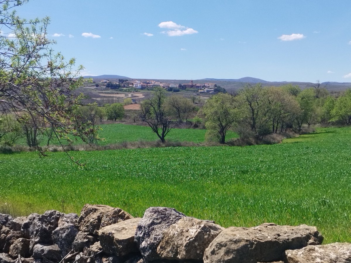 Roberto Baila (Also on #Bluesky) tweet media