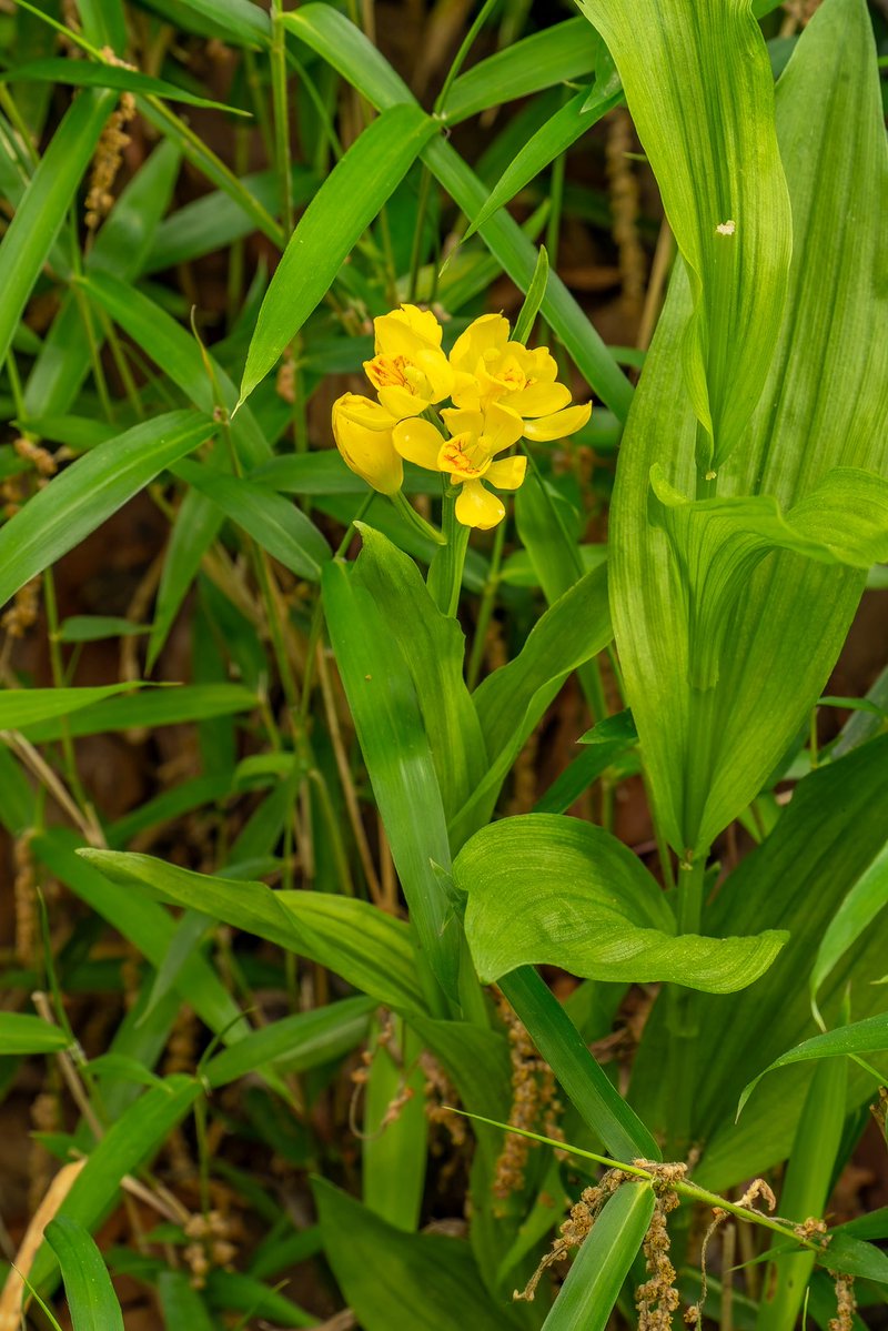 あるる tweet media