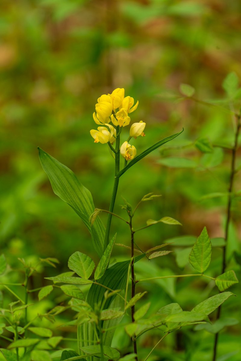 あるる tweet media