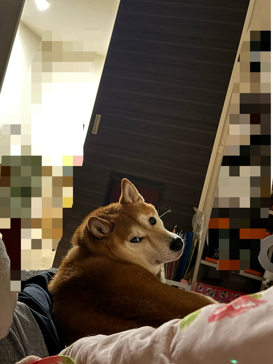 質より量の人もいる
もちろんやった方がいい
でも訳あって量をこなせない時もある
これは自分が弱いと捉える人もいる
実際無理すれば出来るかもしれない
しかし、無理は必要なのか

楽しくない無理は必要なことなのか