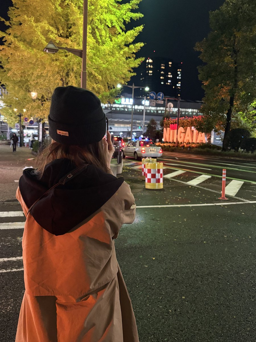 lightsum pics tweet media