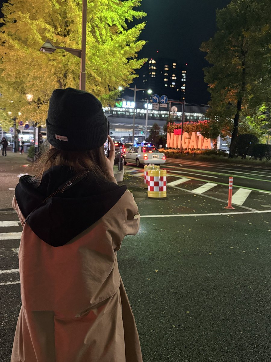 lightsum pics tweet media