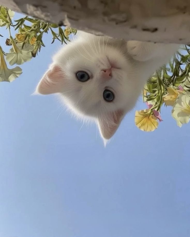 lizzaa🐦‍🔥 tweet media