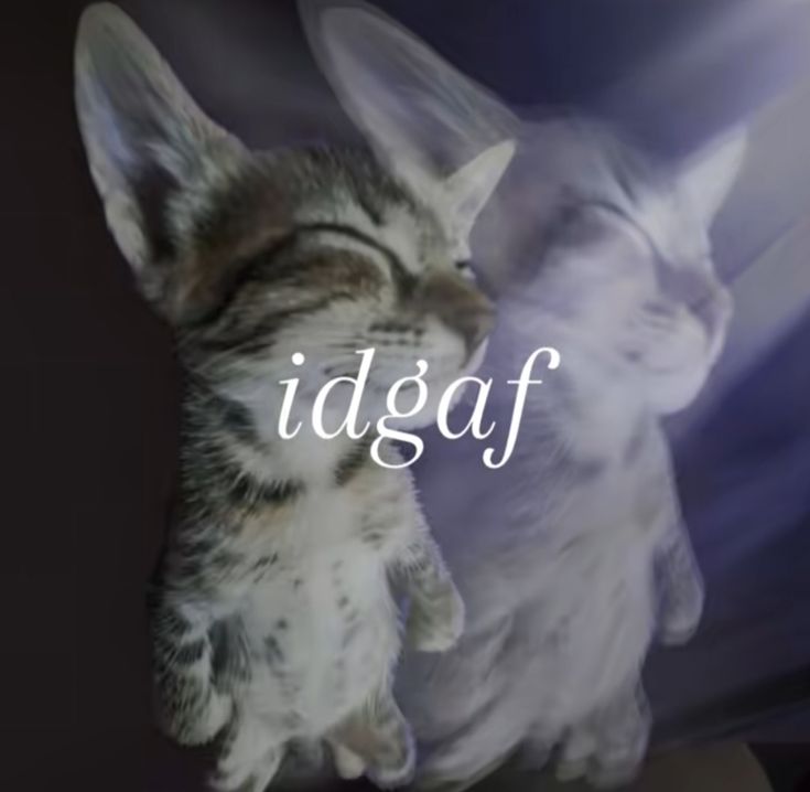 yani .✦ tweet media