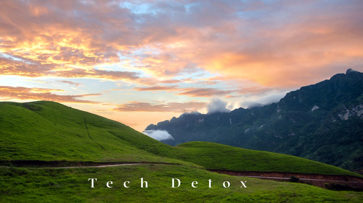 PrestigeCoachin's tweet image. Do you practice digital mindfulness in your daily routine?📱 

Set screen limits, create tech-free zones, and embrace digital balance!

🔗 Learn more: scientificorigin.com/15-psychologic…        

#DigitalWellness #MindfulTech