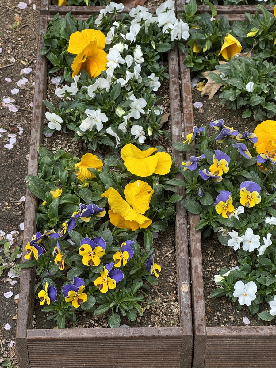 ㅁㅋㅌ tweet media