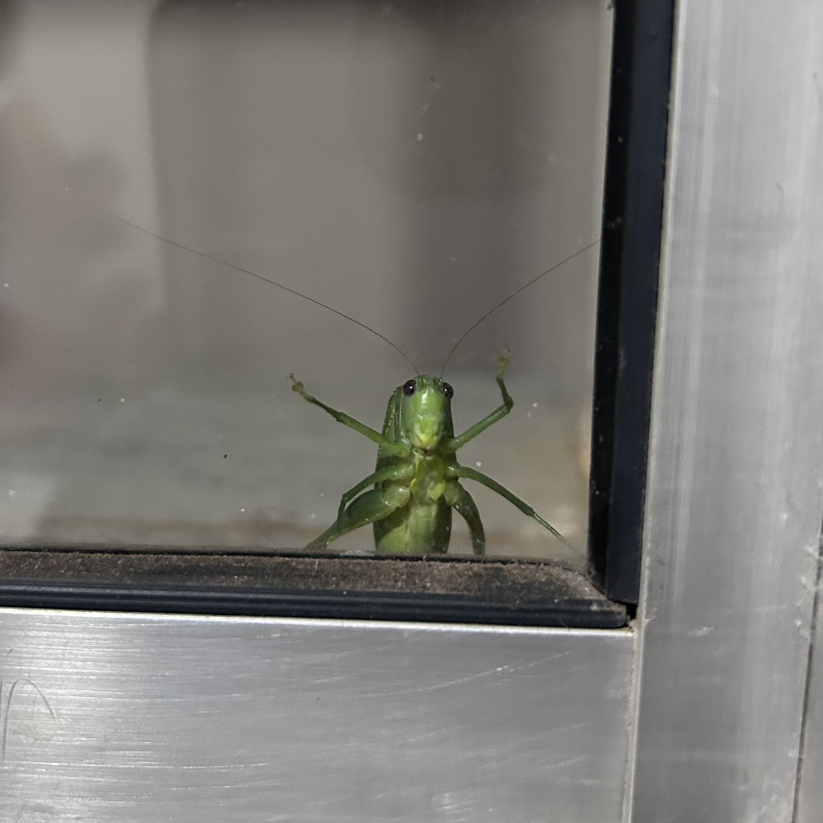 nana 🍌 tweet media