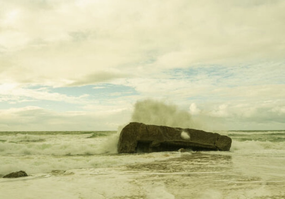 burt berman tweet media