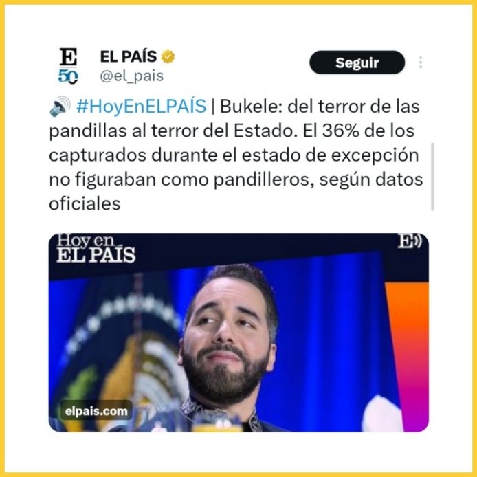 El Necio tweet media