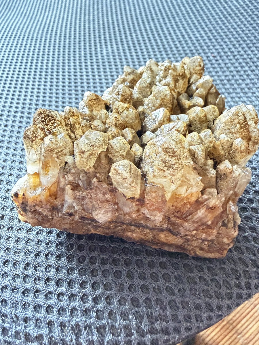 ＠okaki3107 tweet media