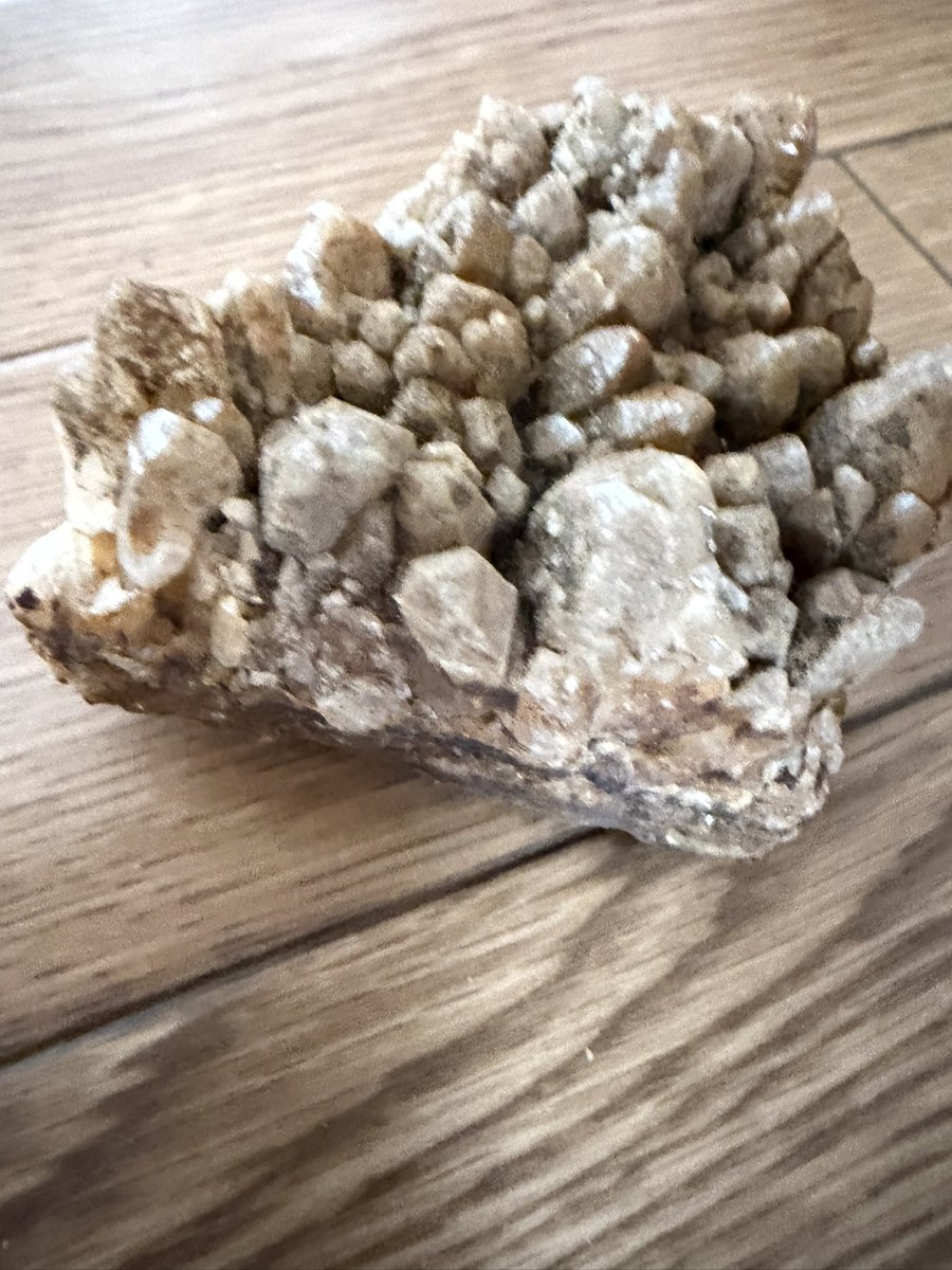 ＠okaki3107 tweet media