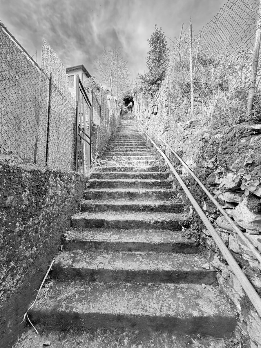 Alonein43672278's tweet image. #photography #blackandwhite #steps #railing