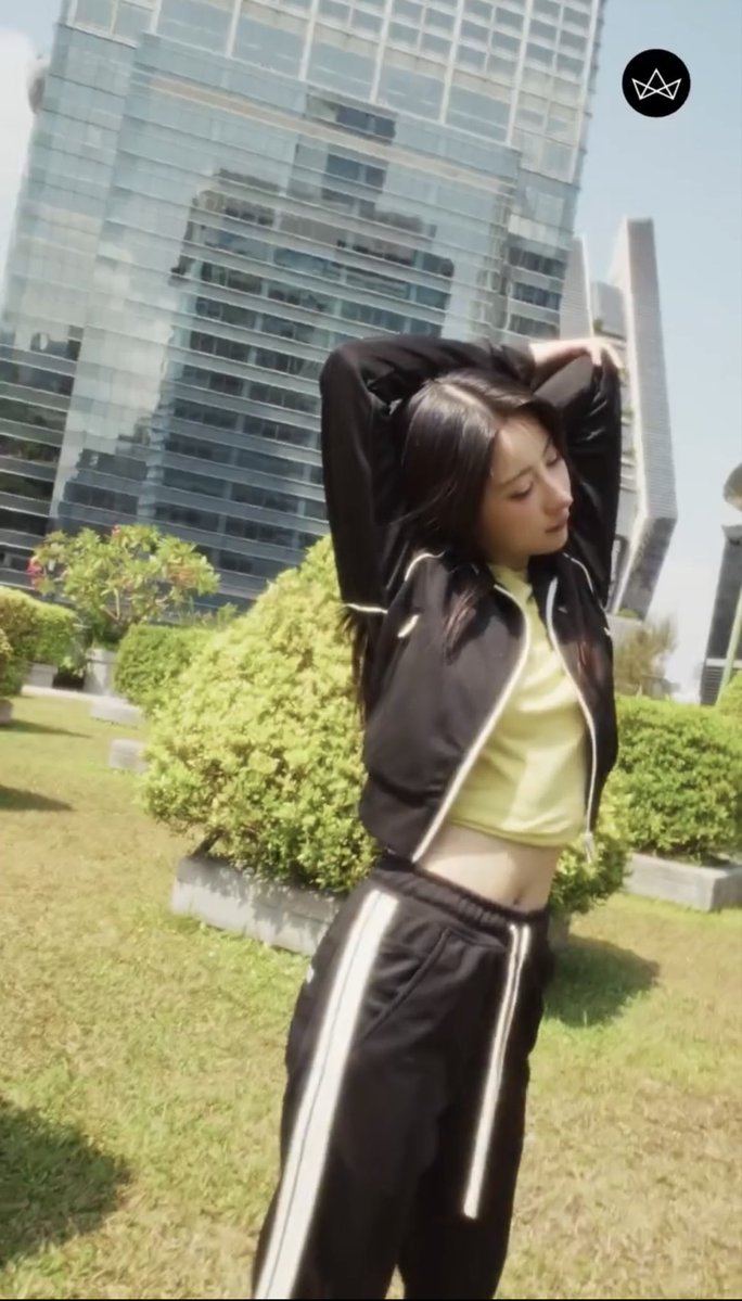 DOG NEVER-FADE_ERA🫧 ❄️ tweet media