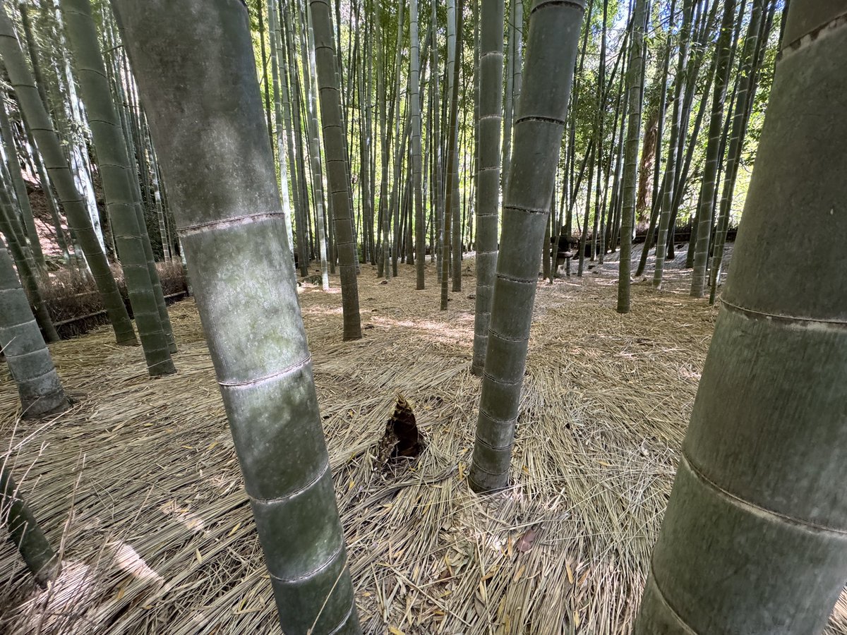 Hirokazu MORI tweet media