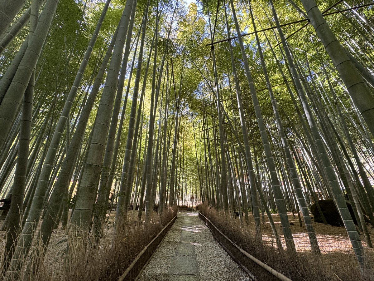 Hirokazu MORI tweet media