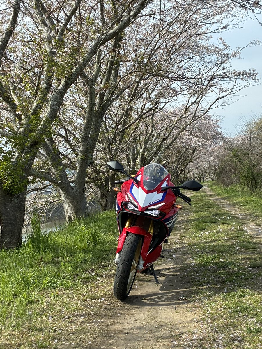 仁（T.M）🏍CBR250RR🏍️XSR125 tweet media