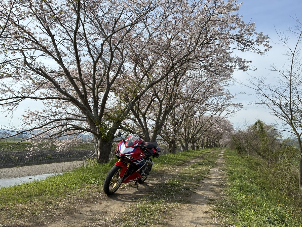 仁（T.M）🏍CBR250RR🏍️XSR125 tweet media