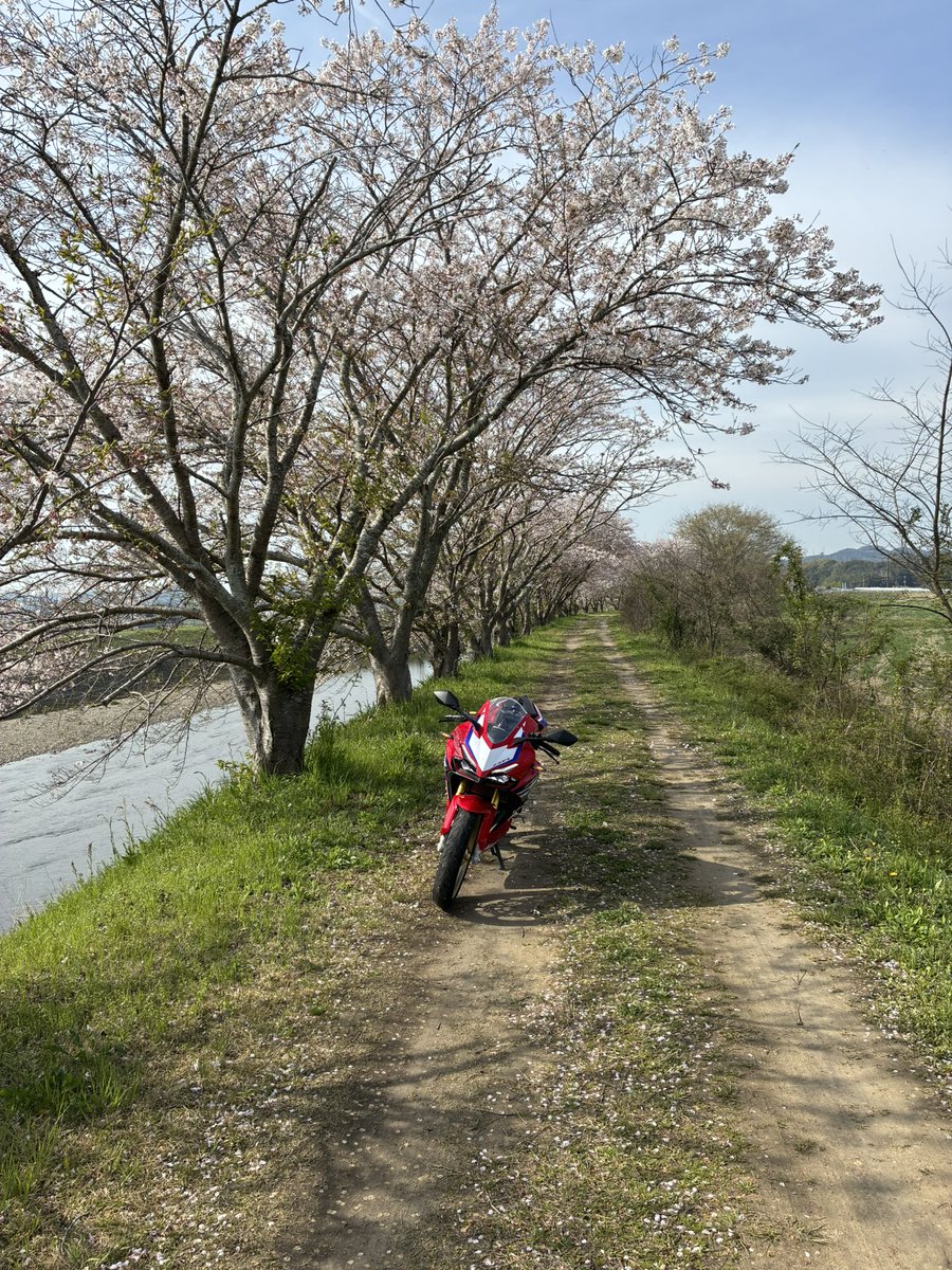 仁（T.M）🏍CBR250RR🏍️XSR125 tweet media