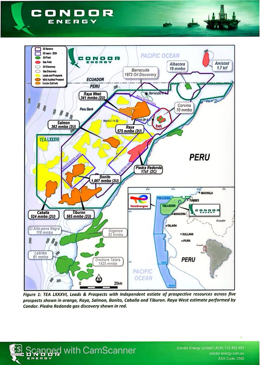 Maurice Salvador tweet media