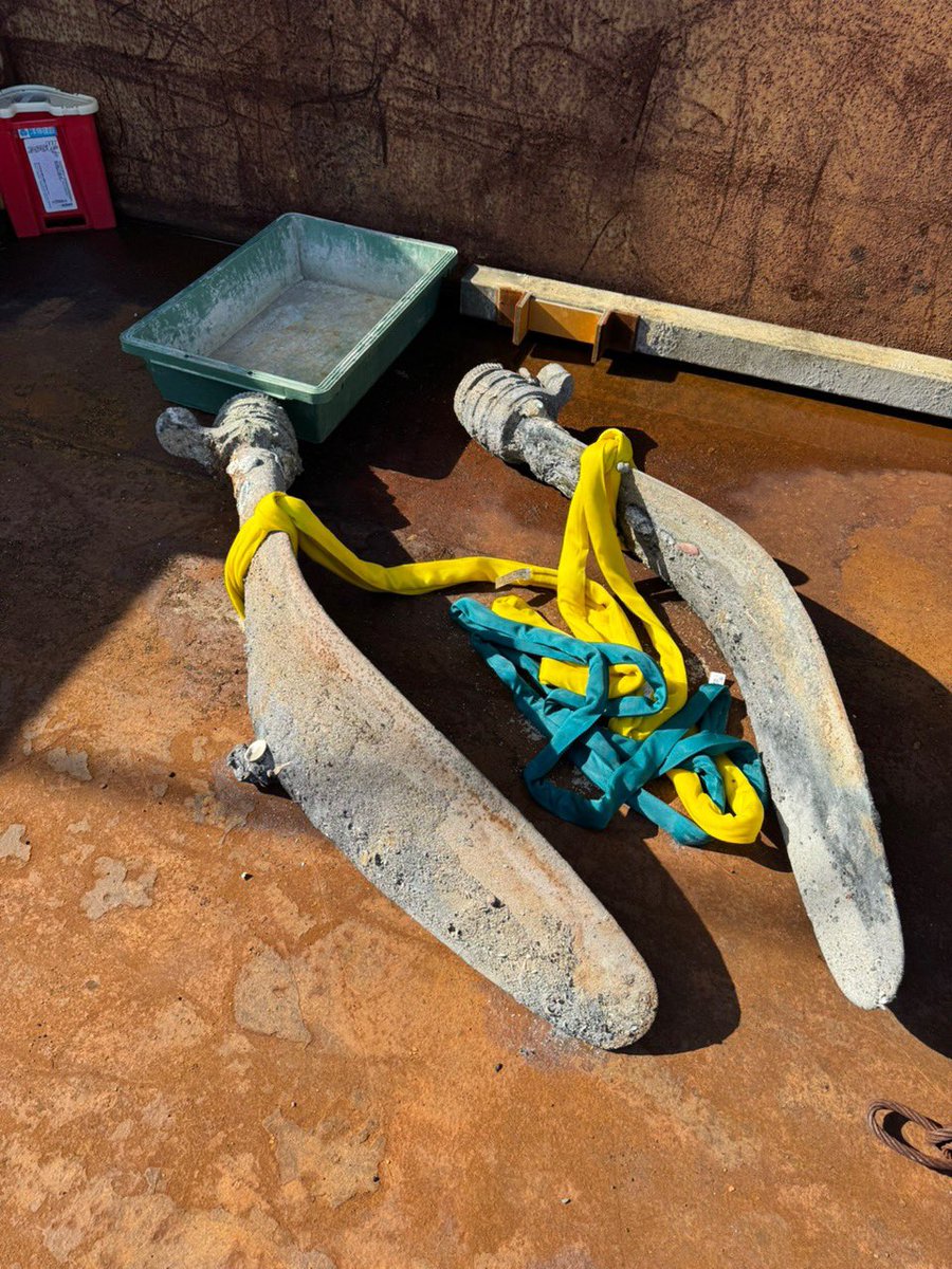 紫電改・林大尉機を引き揚げる会 tweet media