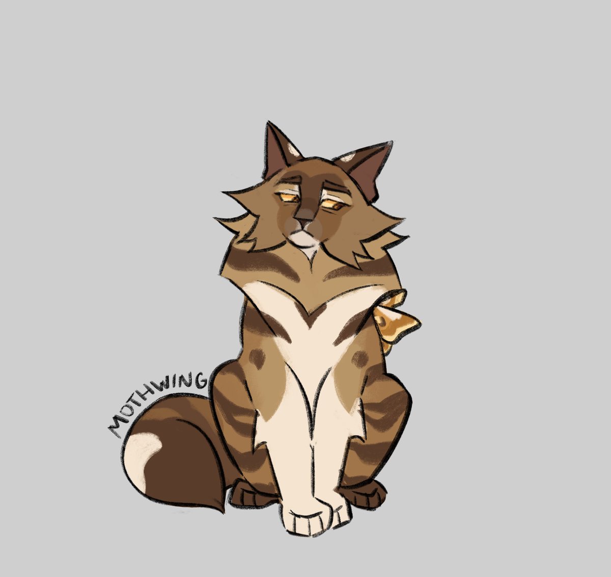 DESIGN : Mothwing
#warriorcats