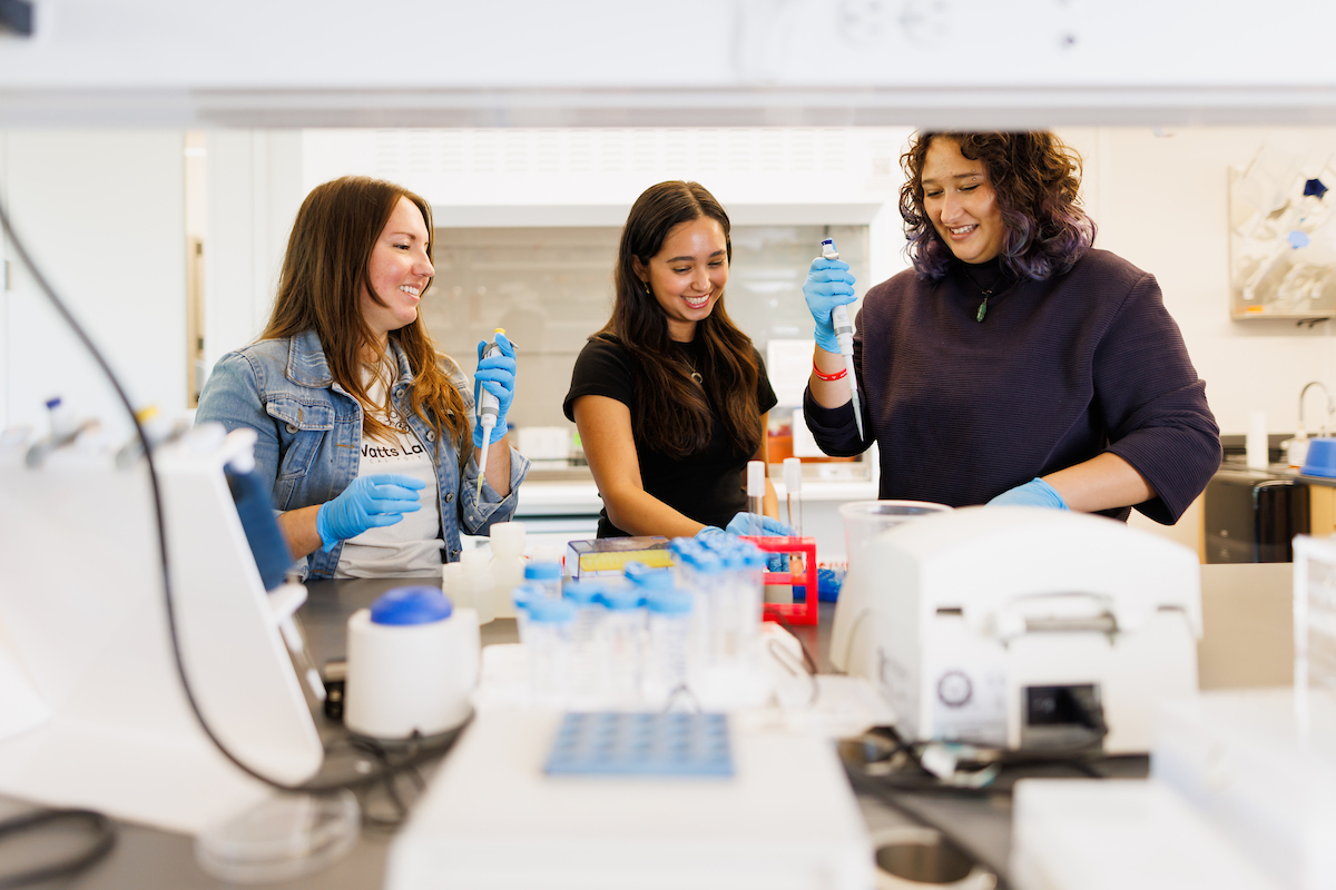 Cal Poly Bailey College of Science and Mathematics tweet media